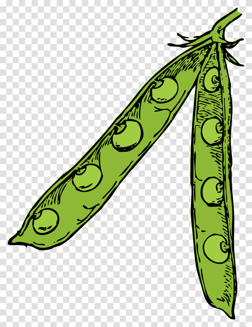 Pea Pod, Plant, Vegetable, Food, Produce Transparent Png