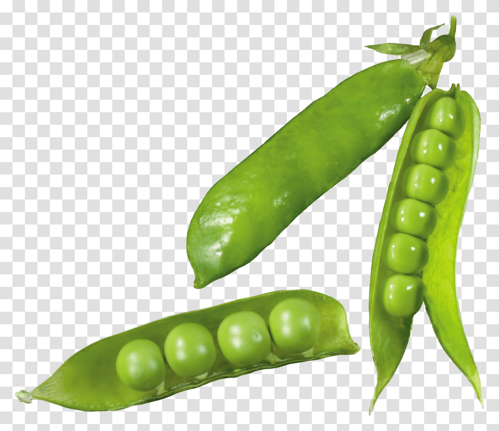 Pea, Vegetable, Plant, Food, Dynamite Transparent Png