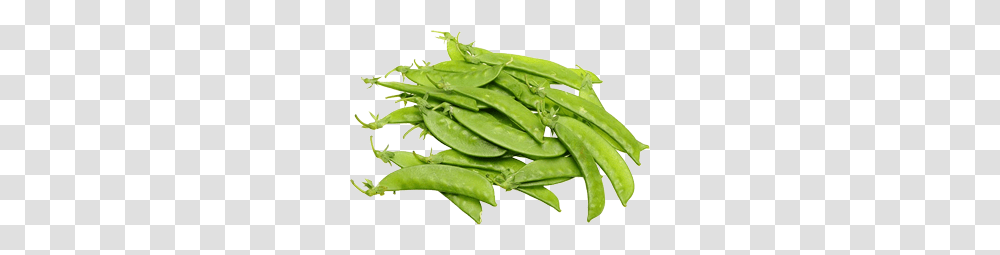 Pea, Vegetable, Plant, Food, Produce Transparent Png