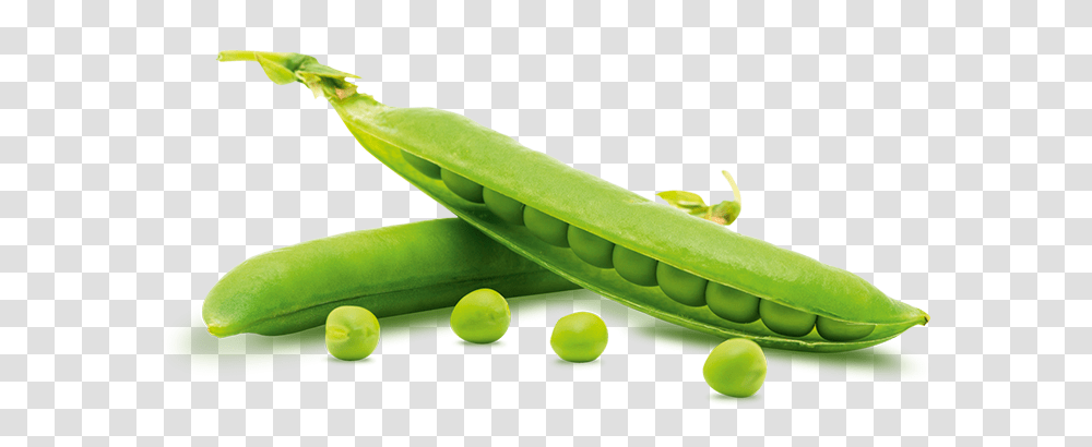 Pea, Vegetable, Plant, Food, Tennis Ball Transparent Png