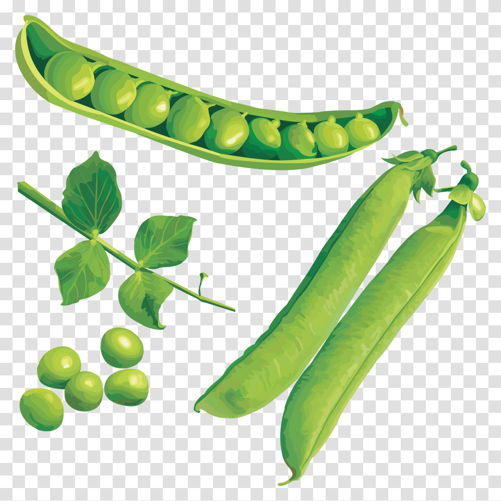 Pea, Vegetable, Plant, Food Transparent Png