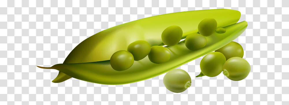 Pea, Vegetable, Plant, Food Transparent Png