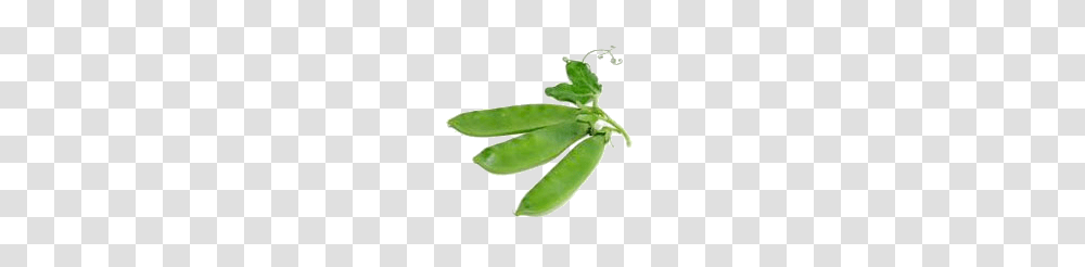 Pea, Vegetable, Plant, Food Transparent Png