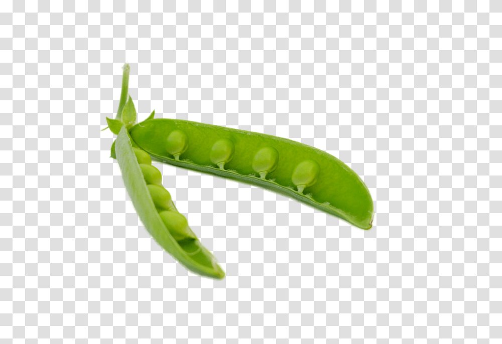 Pea, Vegetable, Plant, Food Transparent Png