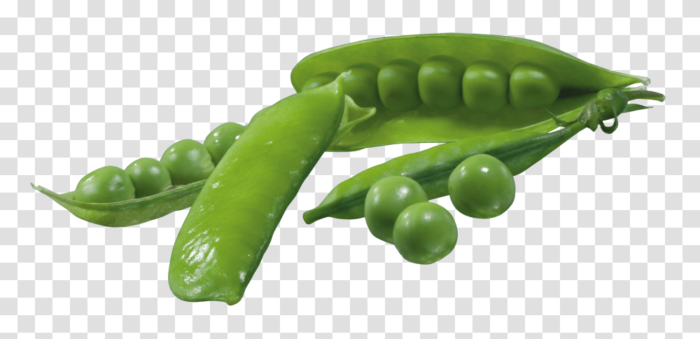 Pea, Vegetable, Plant, Food Transparent Png