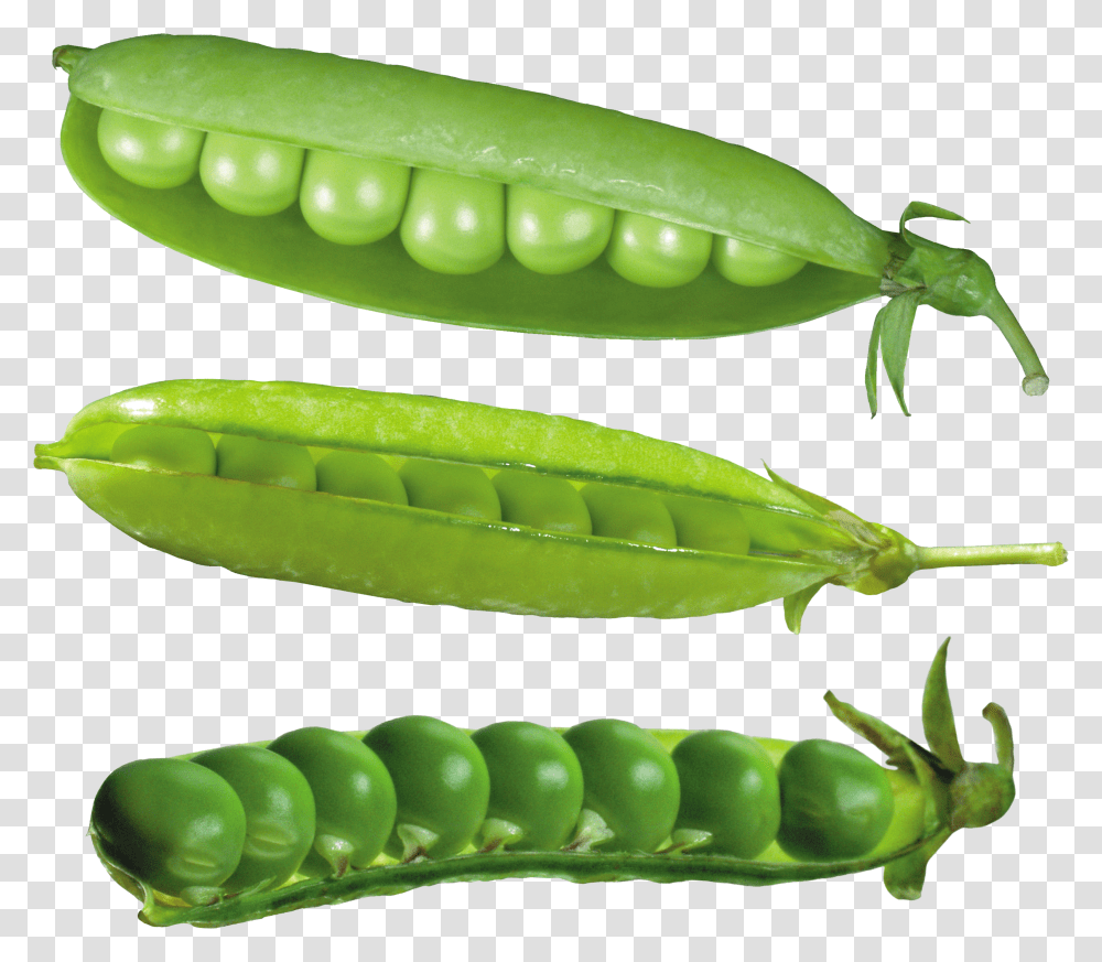 Pea, Vegetable Transparent Png