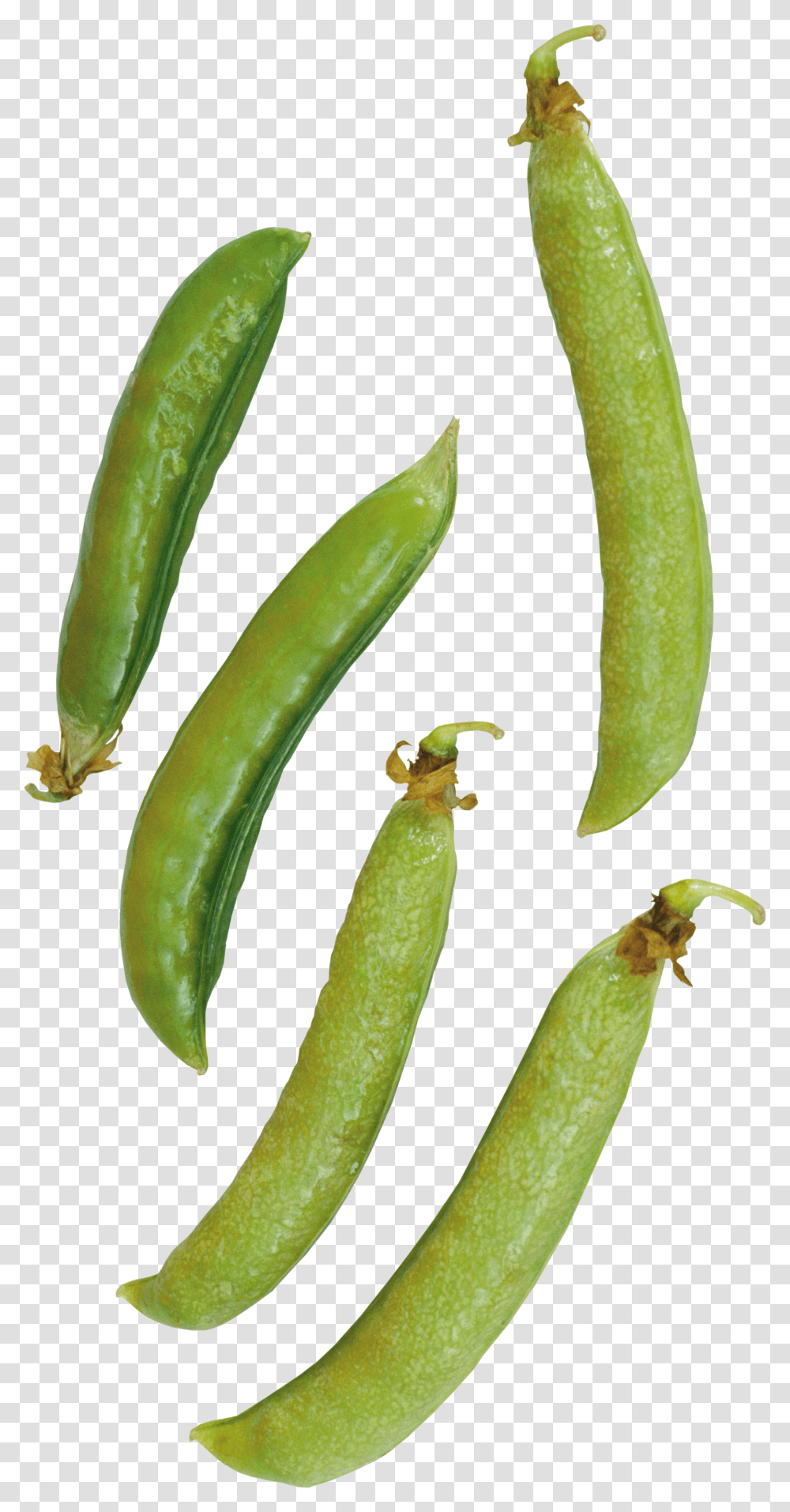 Pea, Vegetable Transparent Png