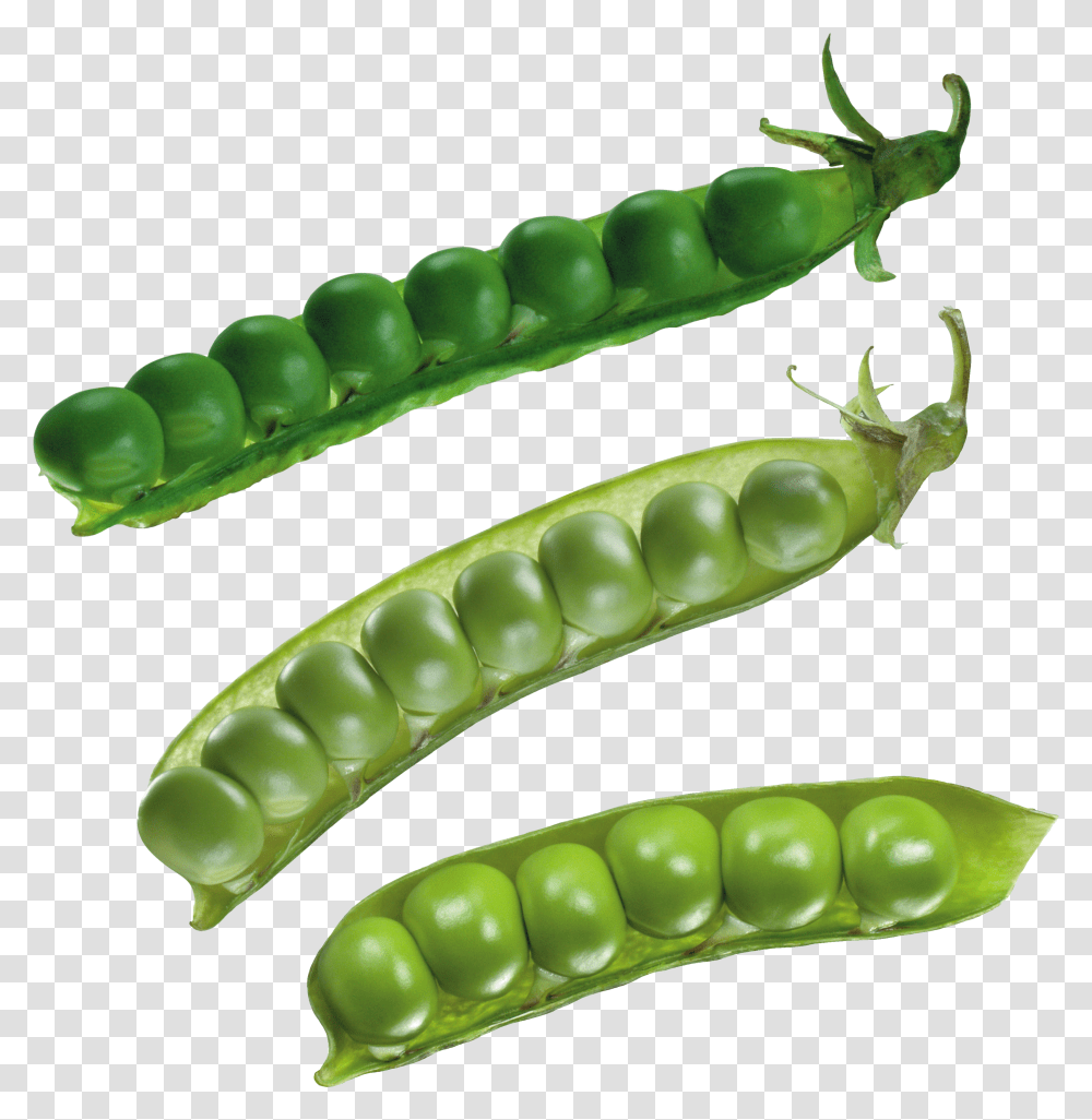 Pea, Vegetable Transparent Png