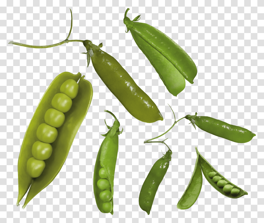 Pea, Vegetable Transparent Png