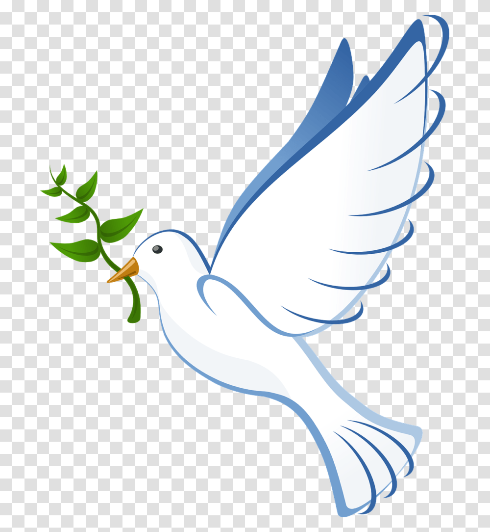 Peace, Bird, Animal, Dove, Pigeon Transparent Png