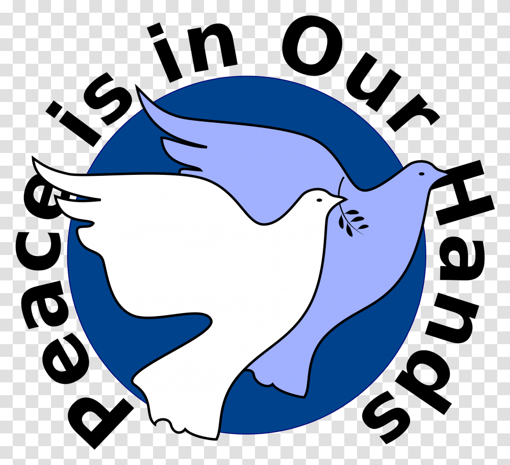 Peace Bird Clipart Peace Is In Our Hands, Animal, Jay, Blue Jay, Seagull Transparent Png