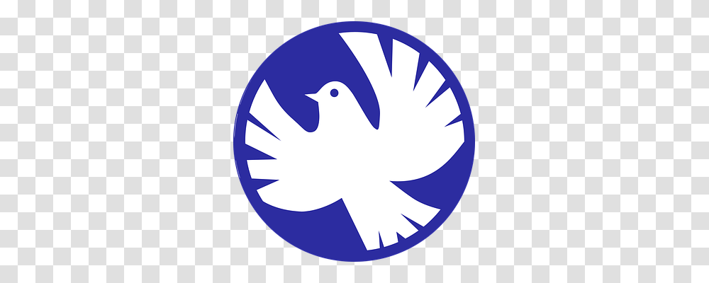 Peace Dove Technology, Animal, Bird, Pigeon Transparent Png