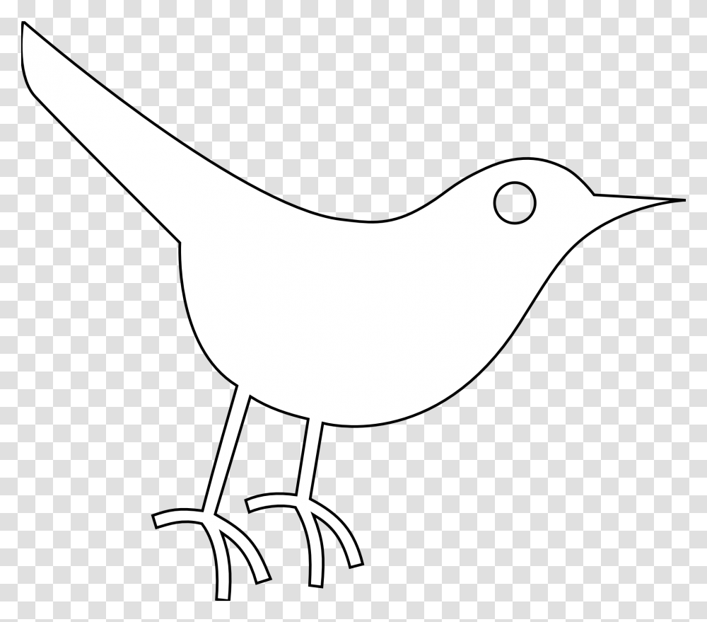 Peace Dove Clipart, Animal, Bird, Wren, Shark Transparent Png