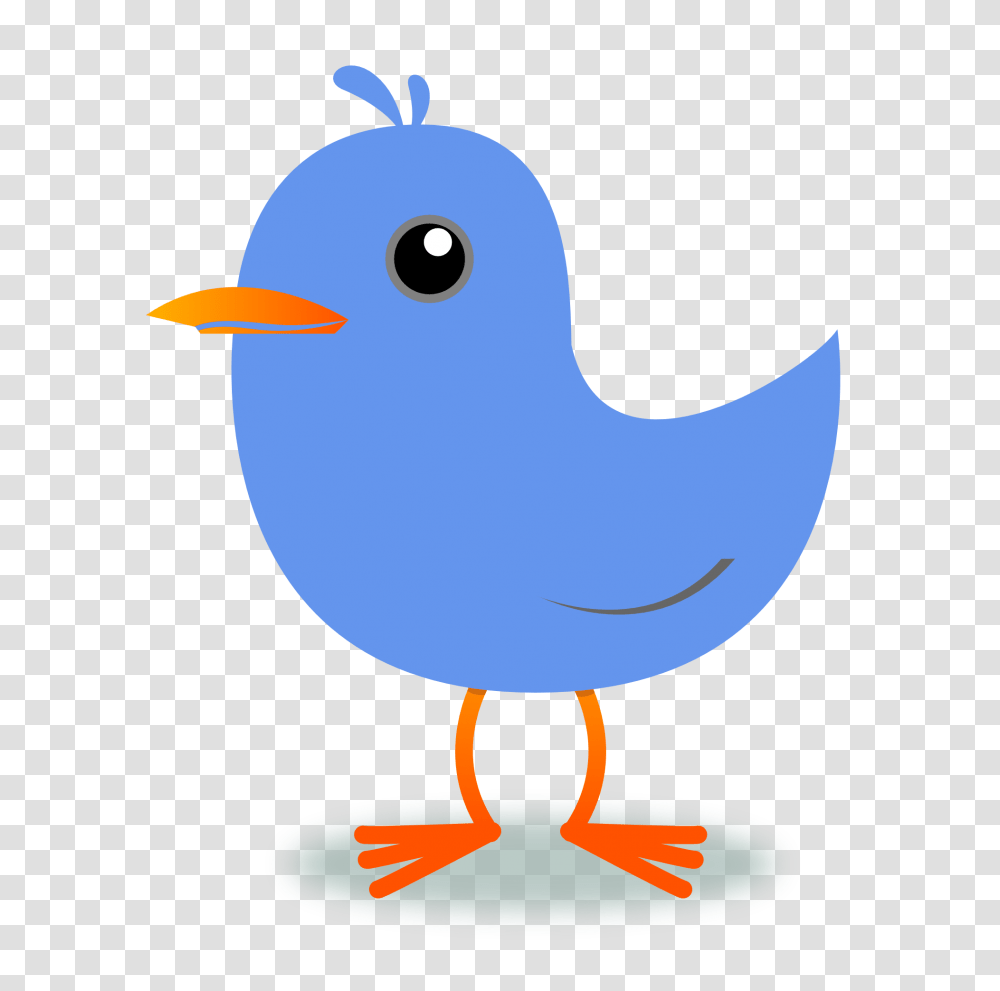 Peace Dove Clipart Blue Dove, Bird, Animal, Wren, Jay Transparent Png