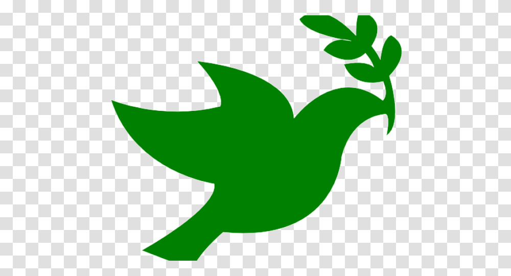 Peace Dove Clipart Social Justice, Leaf, Plant, Green Transparent Png