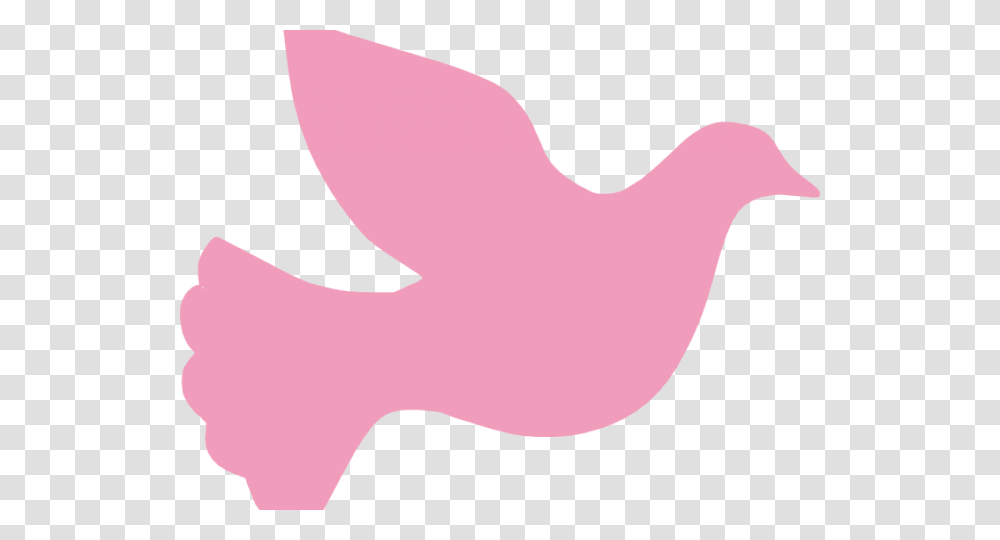 Peace Dove Clipart Vigil Dove, Leisure Activities, Label, Mouth Transparent Png