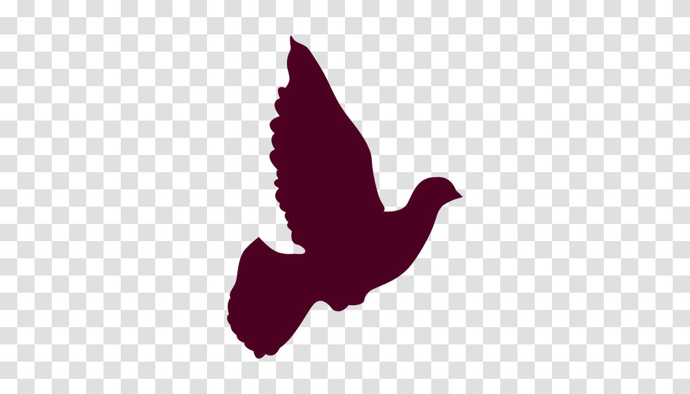 Peace Dove Flying Free, Silhouette, Bird, Animal, Chicken Transparent Png