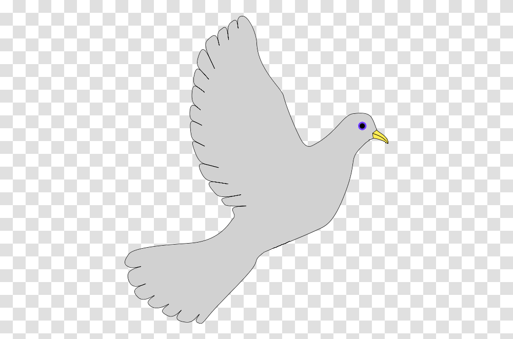 Peace Dove Grey Pigeons And Doves, Bird, Animal, Person, Human Transparent Png