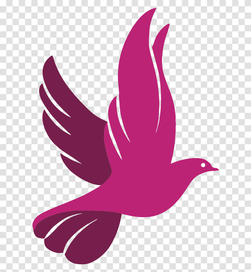 Peace Dove Logo White Dove Logo, Bird, Animal, Arm Transparent Png