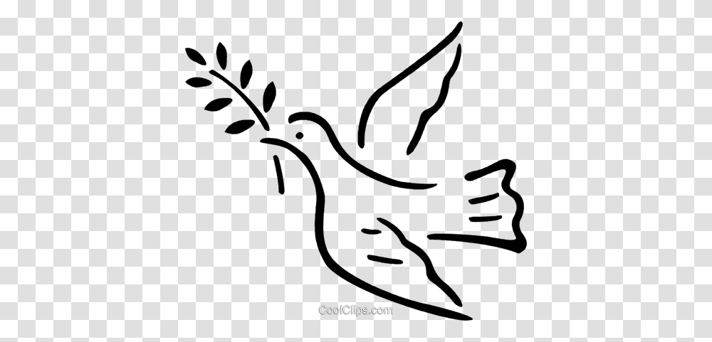 Peace Dove Royalty Free Vector Clip Art Illustration, Bird, Animal, White Board Transparent Png