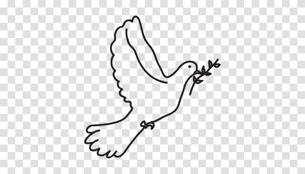Peace Dove Symbol, Whip, Spider, Invertebrate, Animal Transparent Png