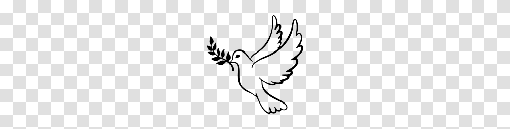 Peace Dove With Olive Branch, Gray, World Of Warcraft Transparent Png