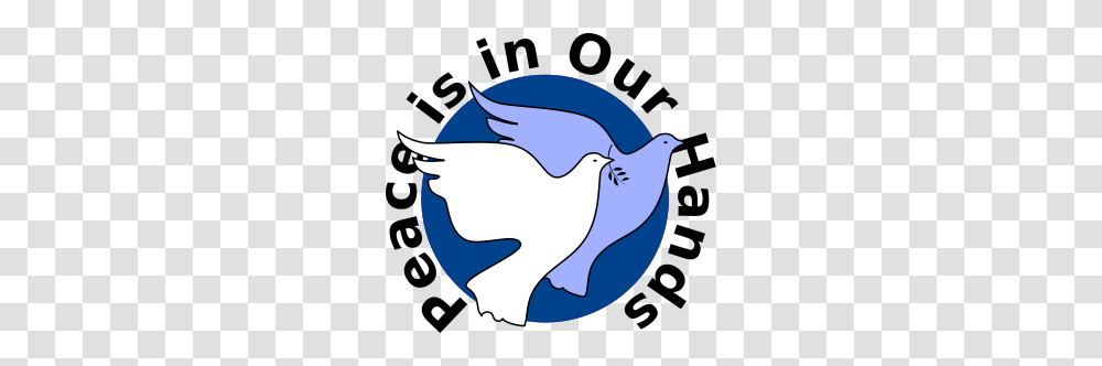 Peace Doves Of South Africa Clip Arts For Web, Bird, Animal, Shark, Sea Life Transparent Png