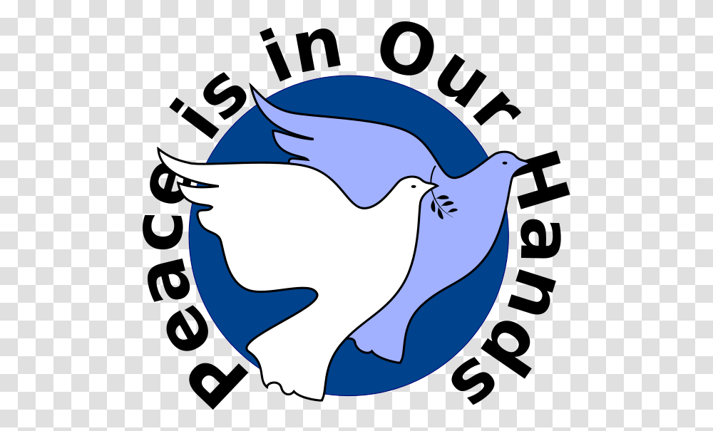 Peace Doves Of South Africa Clip Arts For Web, Bird, Animal, Shark, Sea Life Transparent Png