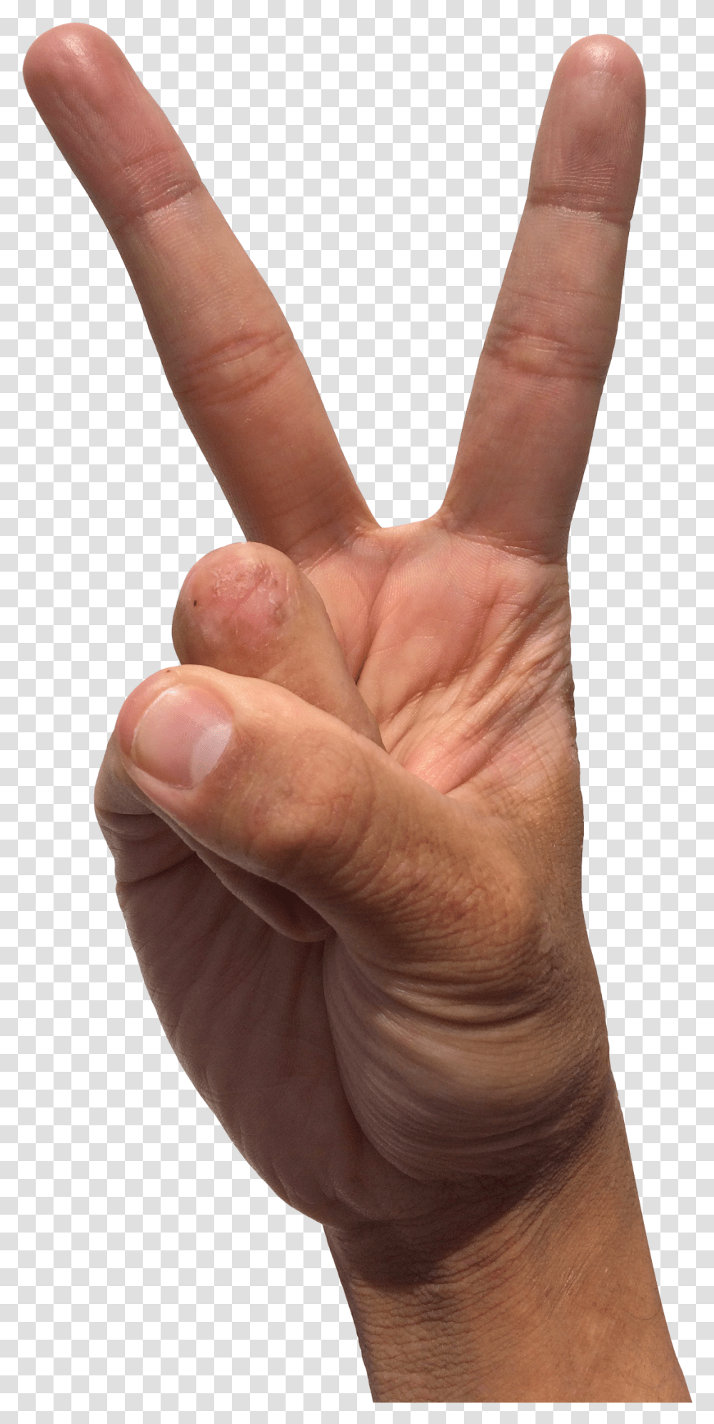 Peace Hand Sign, Finger, Person, Human, Wrist Transparent Png