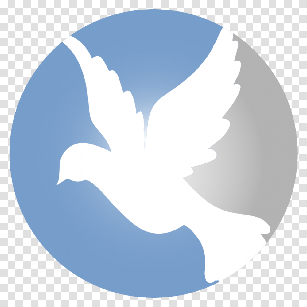 Peace Pigeon, Logo, Animal, Bird Transparent Png