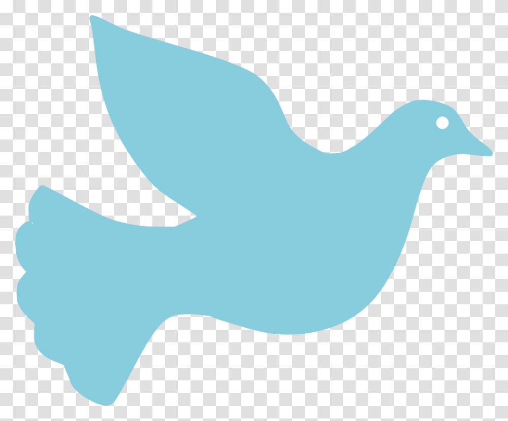 Peace Symbol Clipart Baptism, Bird, Animal, Seagull, Shark Transparent Png
