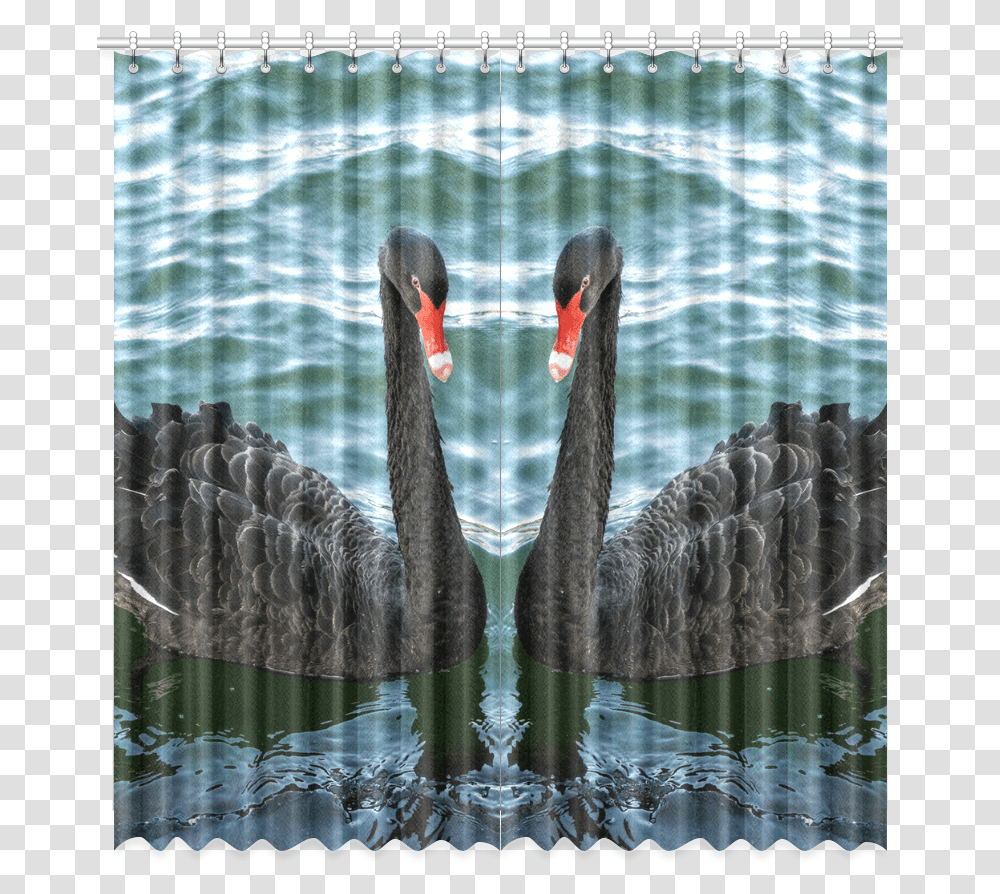 Peaceful Black Swan Window Curtain 52 X108 Black Swan, Waterfowl, Bird, Animal Transparent Png