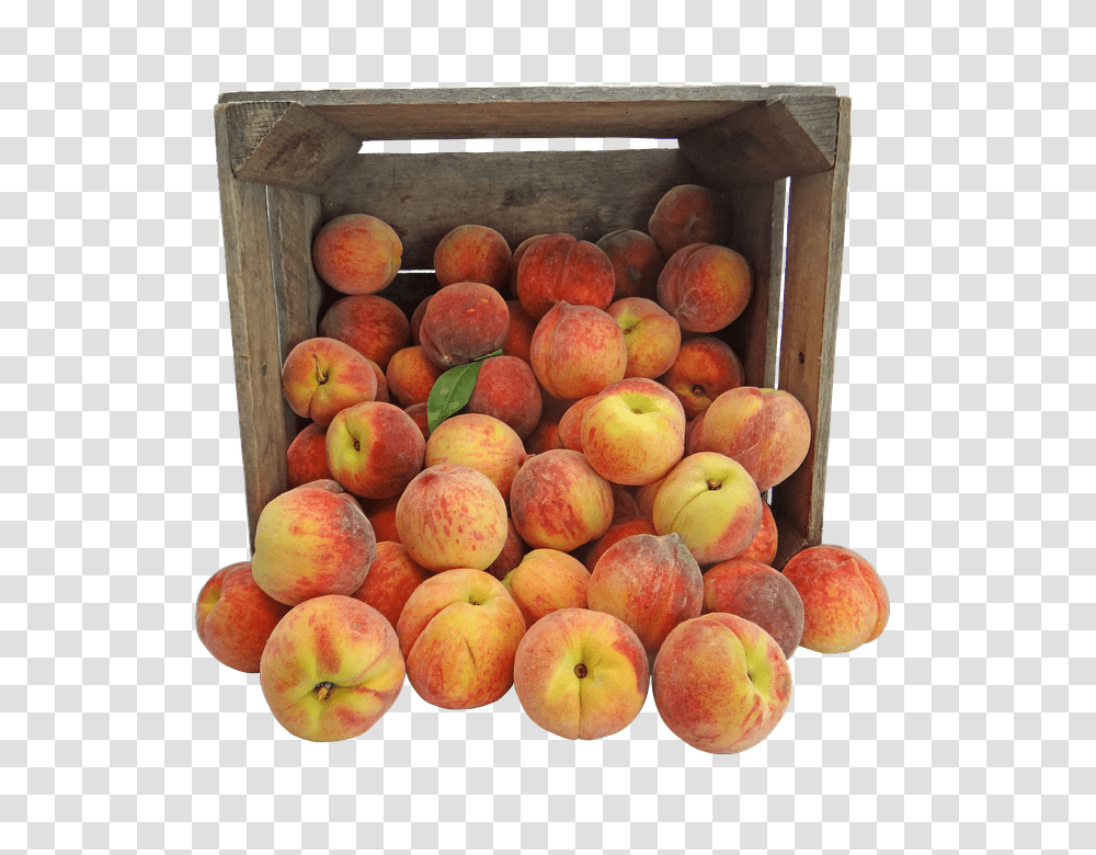 Peach 960, Fruit, Plant, Food, Produce Transparent Png