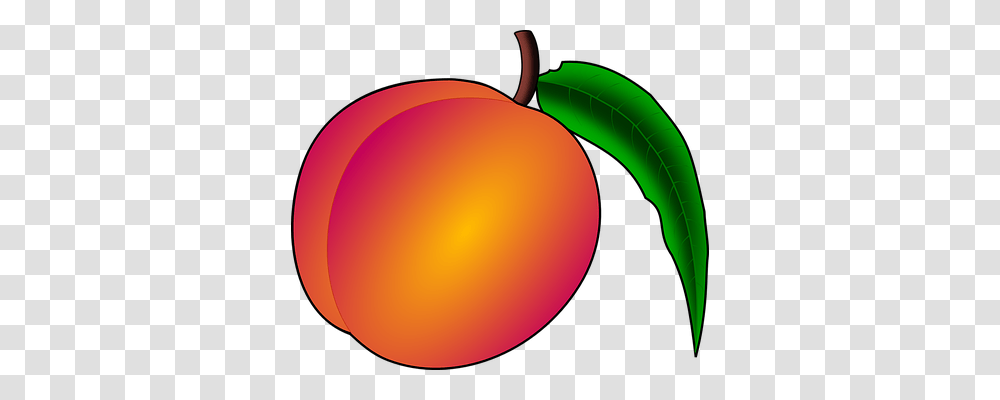 Peach Nature, Plant, Apricot, Fruit Transparent Png