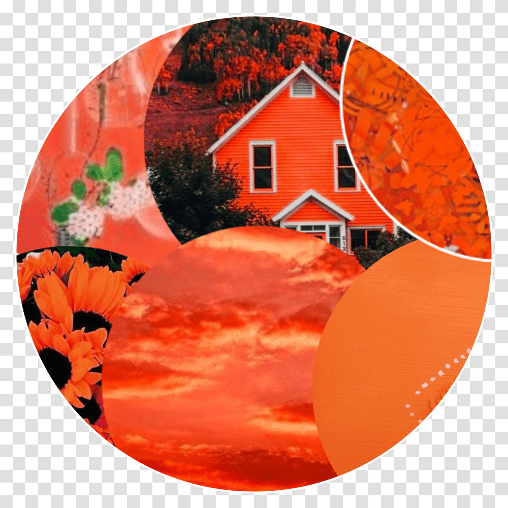 Peach Aesthetic Anime Icon Circle Peach Aesthetic Orange Aesthetic Circle Transparent Png