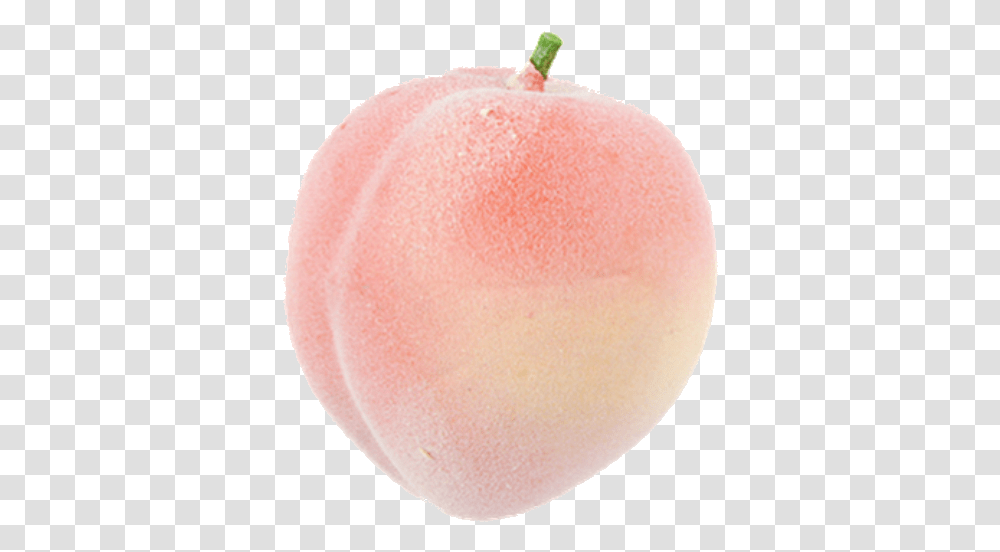 Peach Aesthetic Pink Pastel Peach, Plant, Sweets, Food, Confectionery Transparent Png