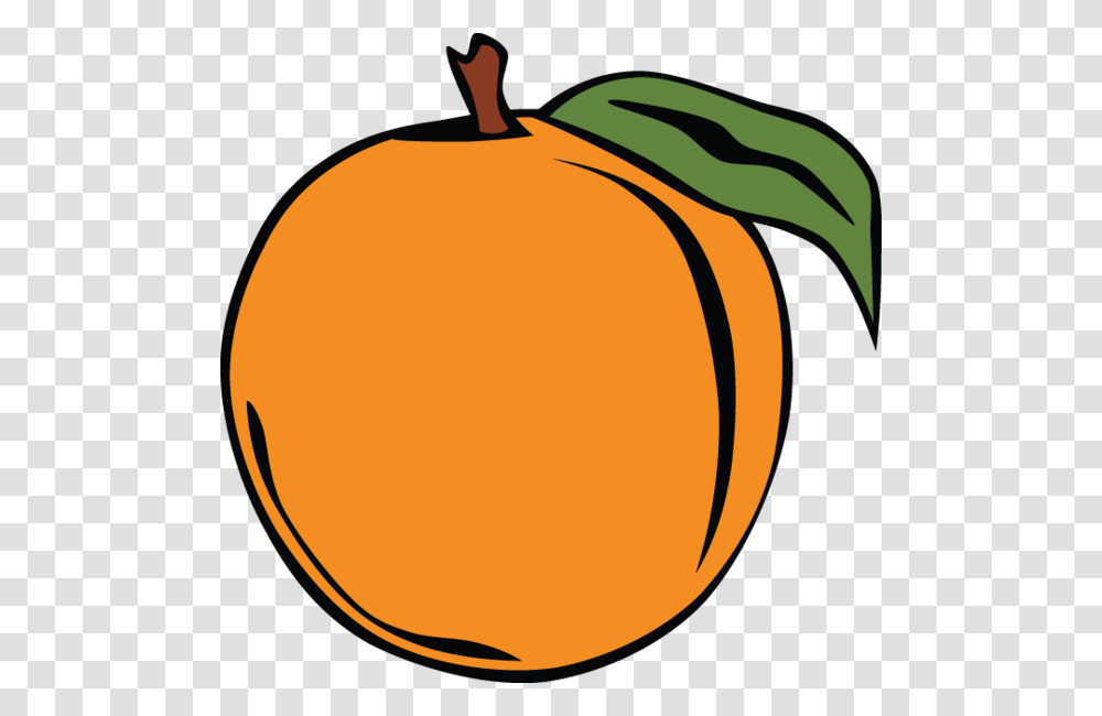 Peach Clip Art From Multiple, Plant, Fruit, Food, Produce Transparent Png