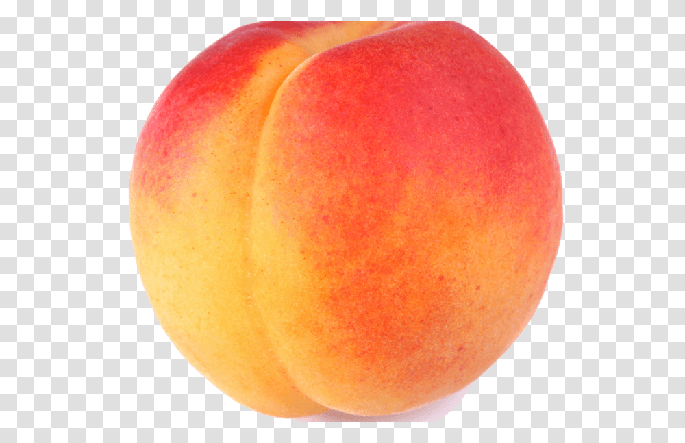 Peach Clip Art Hot Trending Now, Plant, Apple, Fruit, Food Transparent Png