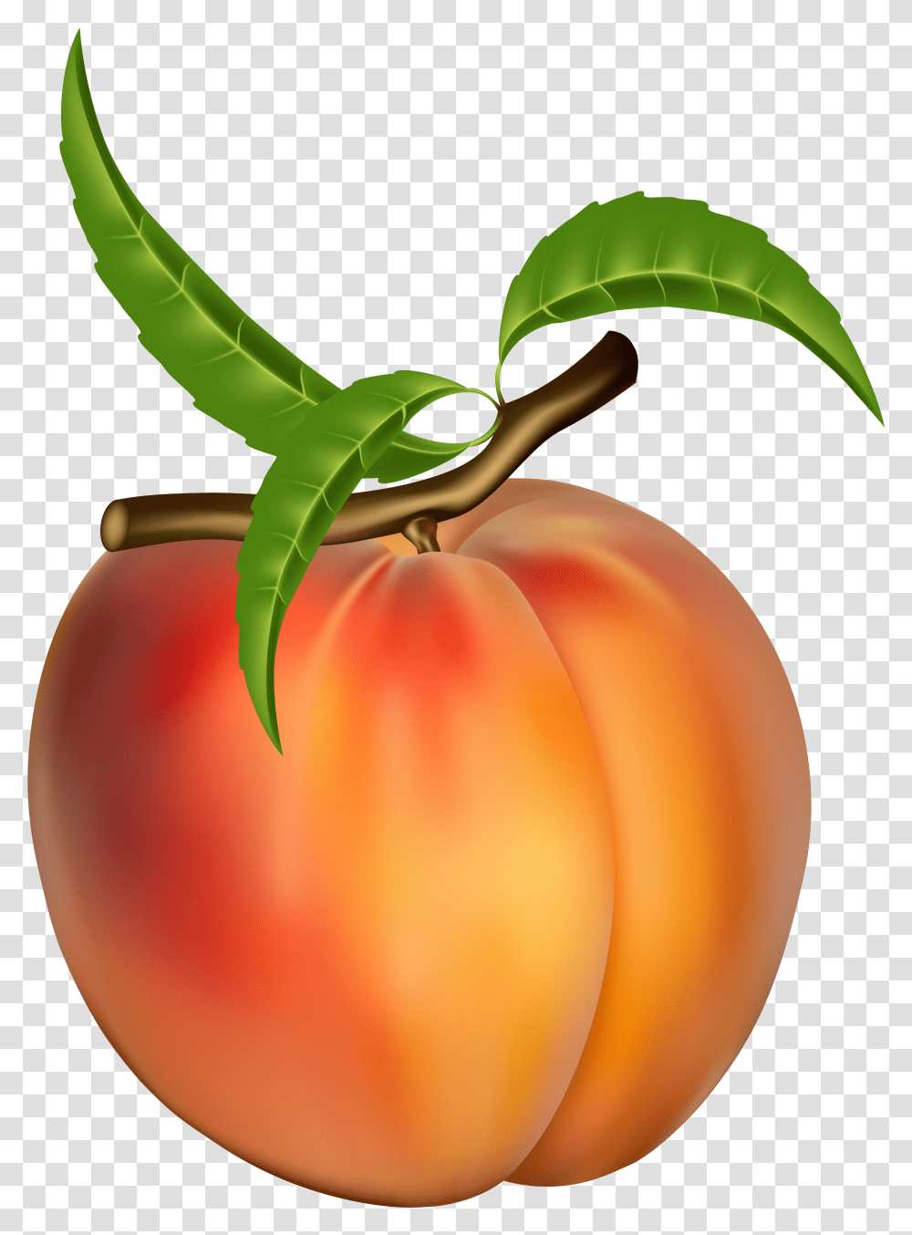 Peach Clip Art Images Peach Fruit Clipart, Plant, Food Transparent Png