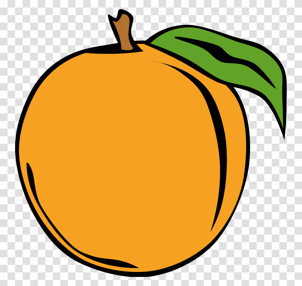 Peach Clip Art, Plant, Apricot, Fruit, Produce Transparent Png