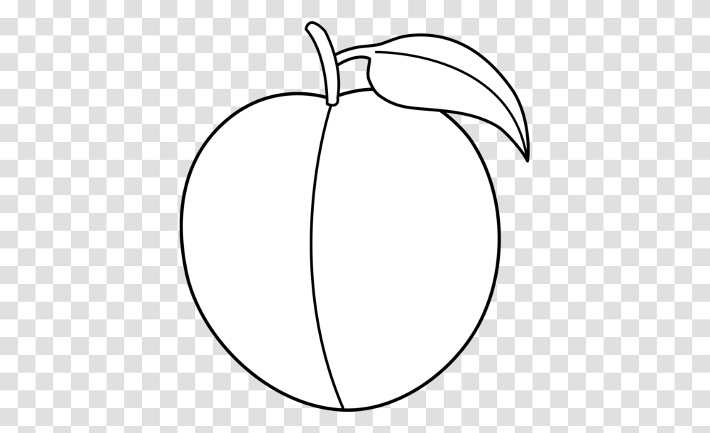 Peach Clip Art, Plant, Fruit, Food, Apple Transparent Png