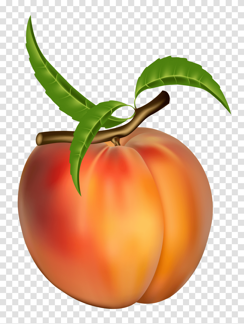 Peach Clip Art, Plant, Fruit, Food, Produce Transparent Png