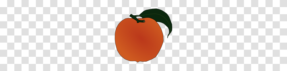 Peach Clip Arts For Web, Plant, Fruit, Food, Produce Transparent Png