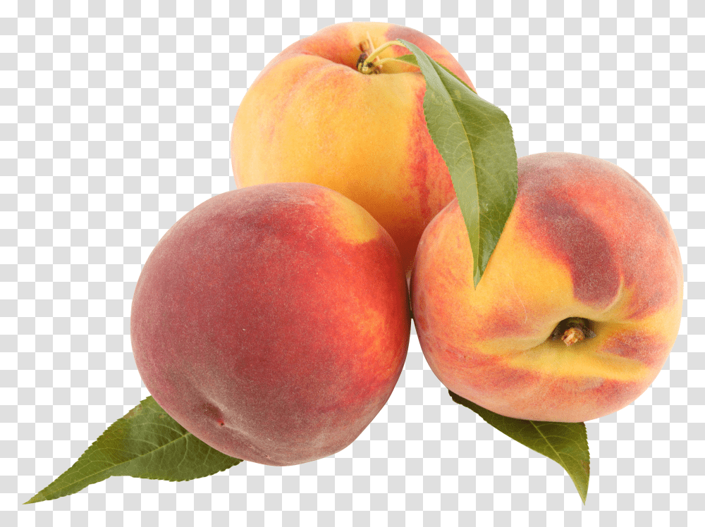 Peach Clipart 1851194 Peaches Transparent Png