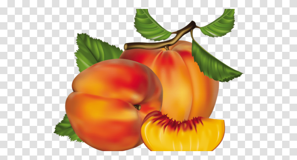 Peach Clipart Chico Peach Fruit, Plant, Food, Flower, Blossom Transparent Png