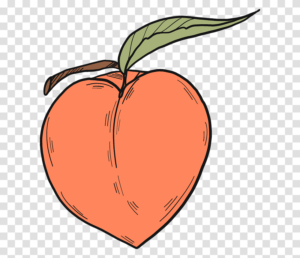 Peach Clipart, Plant, Fruit, Food, Produce Transparent Png