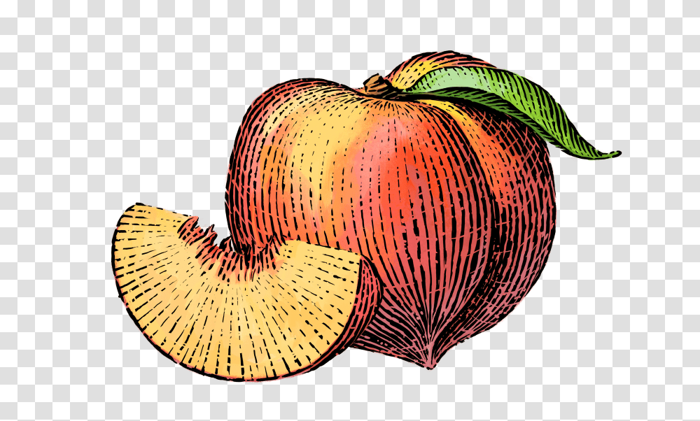 Peach Clipart Simple Fruit Transparent Png