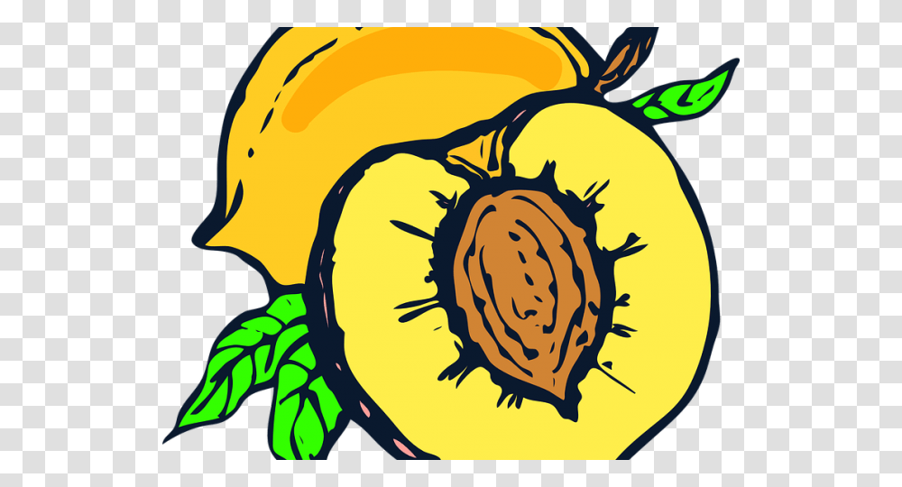 Peach Clipart Vector, Plant, Fruit, Food, Produce Transparent Png