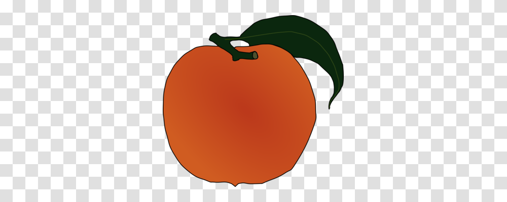 Peach Download Art Document Apricot, Plant, Fruit, Food, Produce Transparent Png