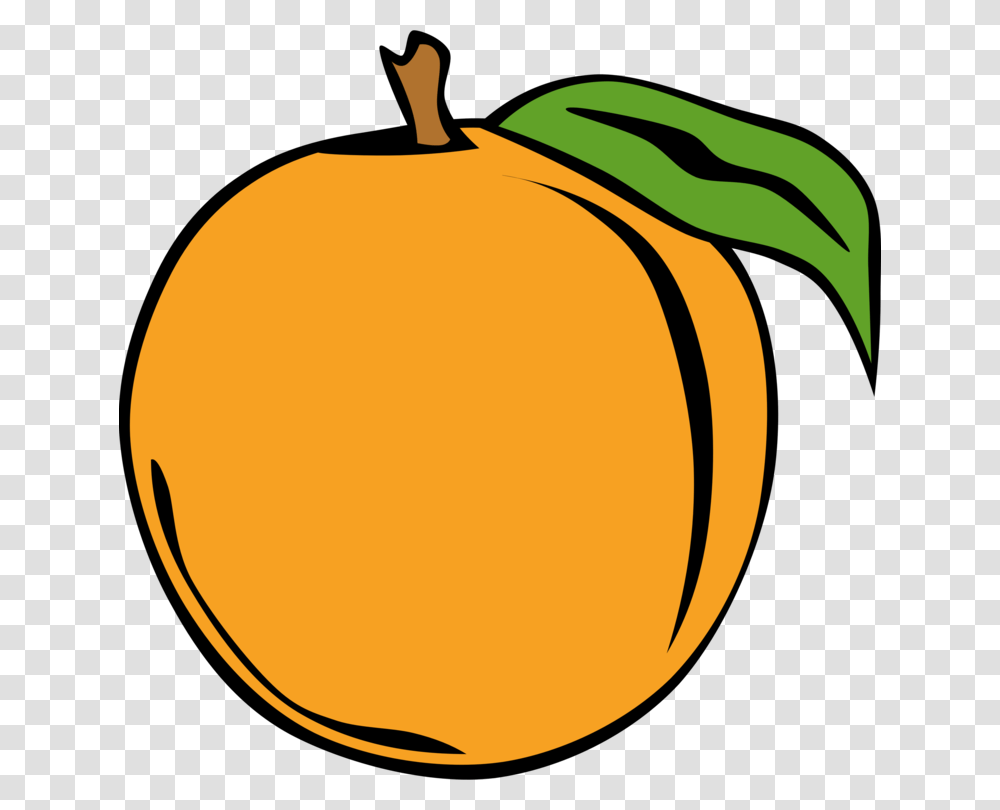 Peach Download Drawing Graphic Arts, Plant, Apricot, Fruit, Produce Transparent Png